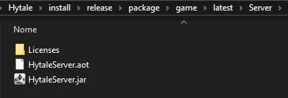 Game folder structure showing Server folder